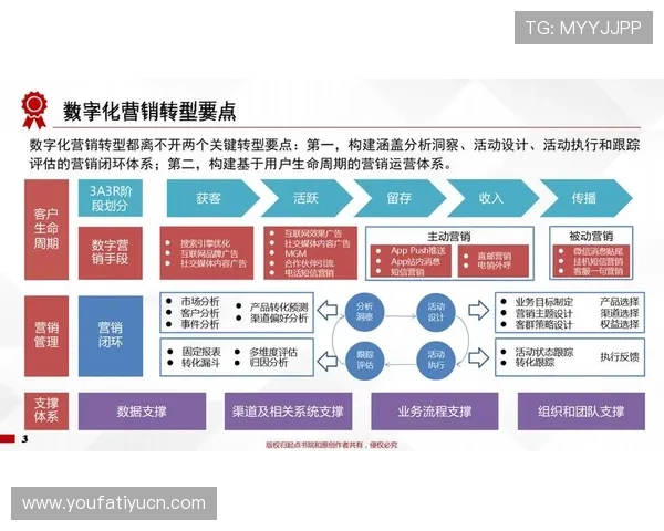永旺国际：利用数字化转型实现企业持续增长的关键策略